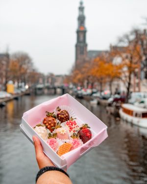 Strawberries covered with chocolate amsterdam